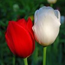 하늘바다 이미지