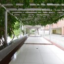 나포리모텔 이미지