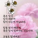 ♡상쾌한 아침♡~~♡사랑합니다.♡ 이미지