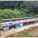 미암면사무소 이미지