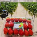 단북애청년 이미지