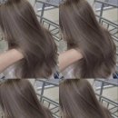 샵오오티디
