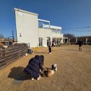 운동장 | [플루프] 파주 루프탑 바베큐 먹을 수 있는 애견카페 &amp; 애견 운동장 후기