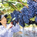 전원풍경 이미지