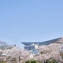 2024년 통영국제음악제 이미지