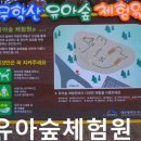 영남숲아카데미협동조합
