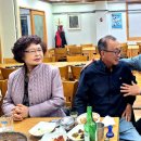 양양초등학교 Daum카페