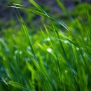 서하리마을회관 이미지