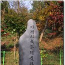 우리나라 야생차나무의 북방한계선, 익산 웅포 임해사터 (09. 11. 07) 이미지