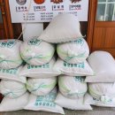 원조닭날개구이 | 청송 맛있는집 원조신촌식당 주왕산 여행 필수 코스 닭불백숙 닭날개구이 포장 후기