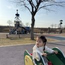 낙동강체육공원 어린이놀이터 이미지