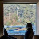 애코랜드 이미지