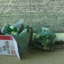 김기수 농장 이미지