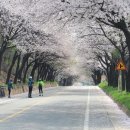 상백1리 마을회관 이미지