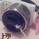 나나캣(nanacat) 이미지