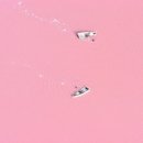 현실+상 Daum카페