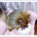 미호유치원 이미지