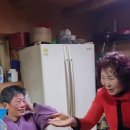 아리랑활력무 이미지