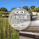 기린07-3 | 강원 강릉 오죽헌 여행 관광지 필수코스 가볼만한 곳 상세후기