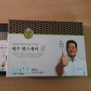 제주의 이유 티스토리