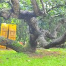 성환농업협동조합 이미지