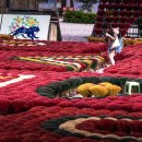 2025/05/08~ walking in Hanoi(Incense Village) 이미지