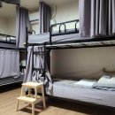 제주시청(광양방면) (광양사거리/터미널방면) 이미지