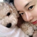 아트토리 이미지