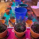 핑크힐병원 이미지