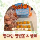 (신)만다린 | 두돌아기 간식 헤일로 만다린으로 만든 밥태기 극복 유아식 레시피 2가지