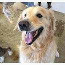 아이조아 요양보호소 경기광주 이미지