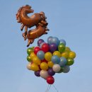 닭갈비예찬 | 월간지원 1月호