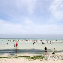 제주