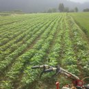 한결농장 이미지