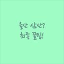 선호여인숙 | 울산 삼산 청결도와 가격대별 숙소 완벽 비교 실패 없는 최종 선택 가이드
