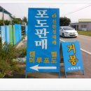 다정포도원