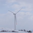 삼양목장 이미지