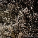 다시면사무소 이미지