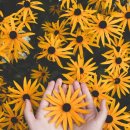 안경OK콘택트안경원 이미지