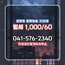 청솔공인중개사사무소 | 봉명동 봉명청솔 308동 월세 지성공인중개사사무소