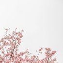 김머리방 이미지