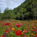 삼수동 주민복지센터 이미지