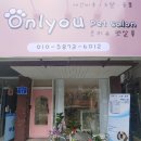 온리유 펫살롱 이미지