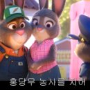 오동도로 이미지