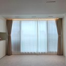 금산느티나무 이미지