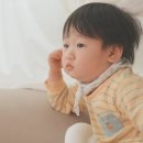 까사돌 이미지