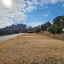 간월도캠핑장 이미지