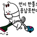 헤븐헤어 이미지