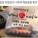 리얼리뷰