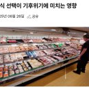 201_250626_greenhouse gas emissions from food 이미지